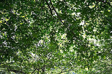 世嘉《索尼克：边境》6分钟战斗部分实机演示分享