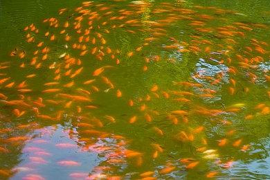 《模拟人生1&2》现已在PC重新发售 Steam国区198元