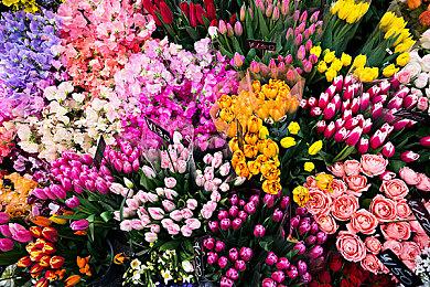 外媒：要不是承载太多 《星空》的争议可能会更少